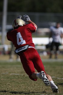 爱游戏体育在线赛事-中超球队年度替补球员战术执行效率统计，中超替补年薪