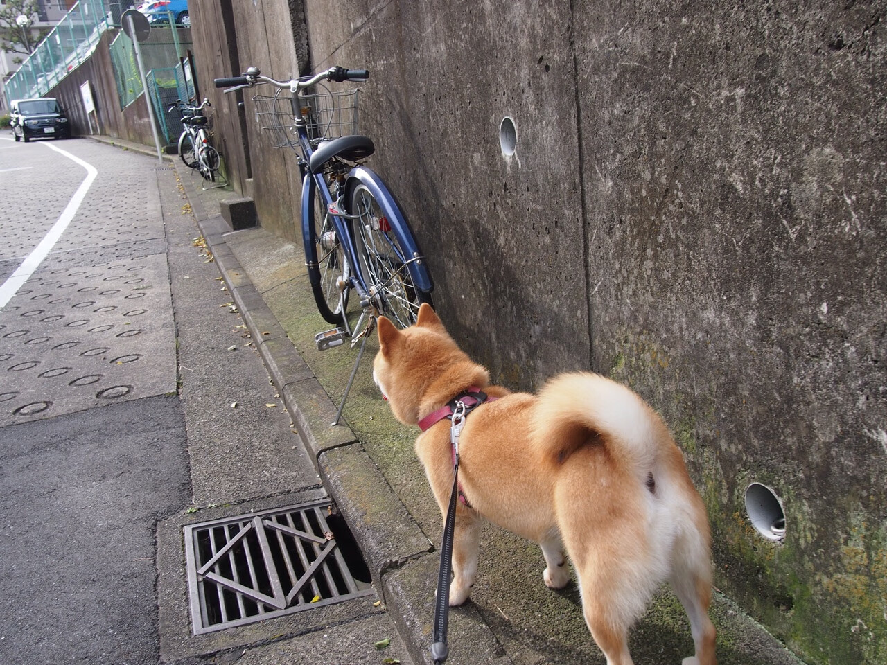 爱体育娱乐入口-德甲球员在高压阶段冲刺质量与决策效率的耦合分析