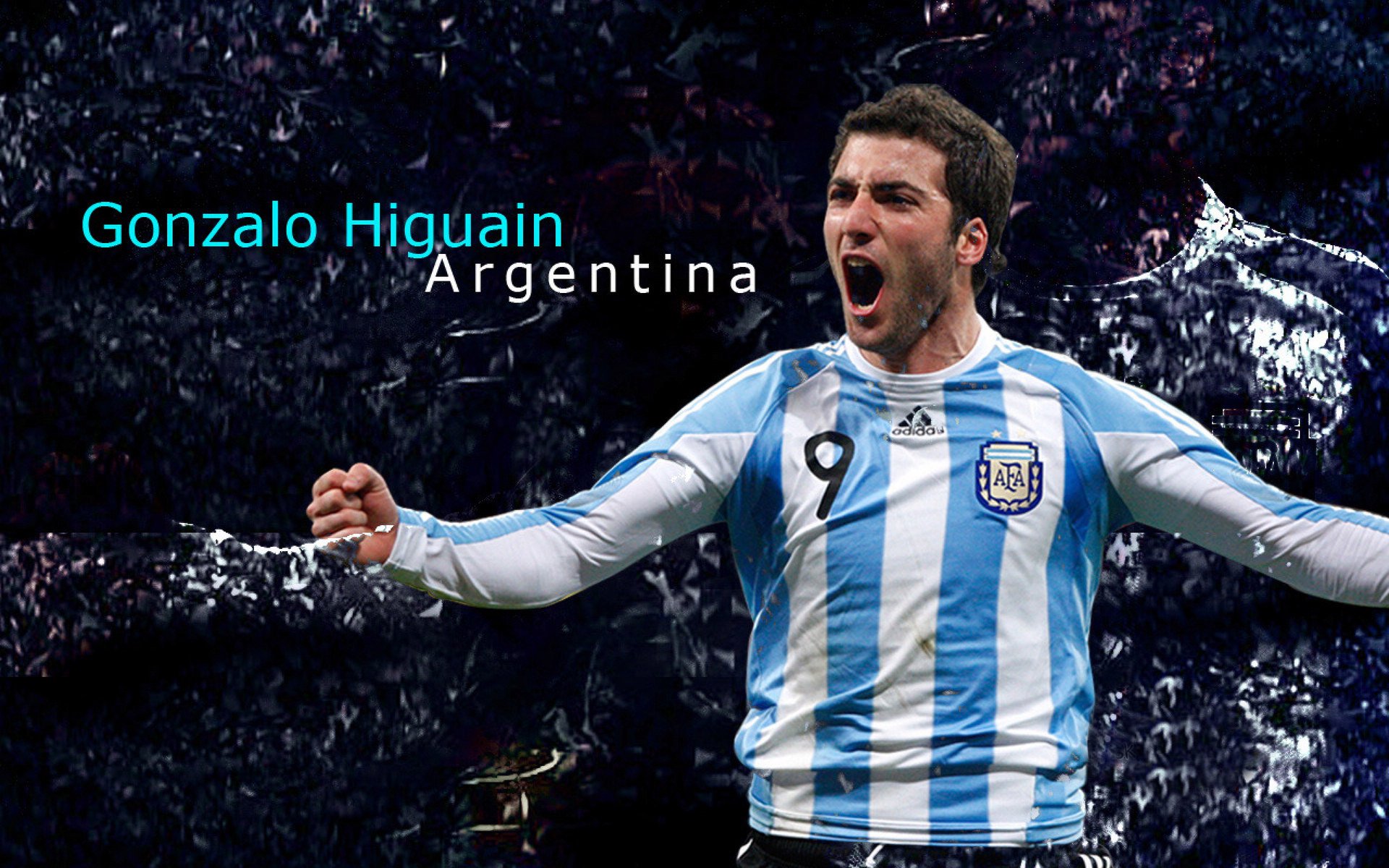 新人崭露头角,未来之星的强势崛起!,未来之星怎么解释